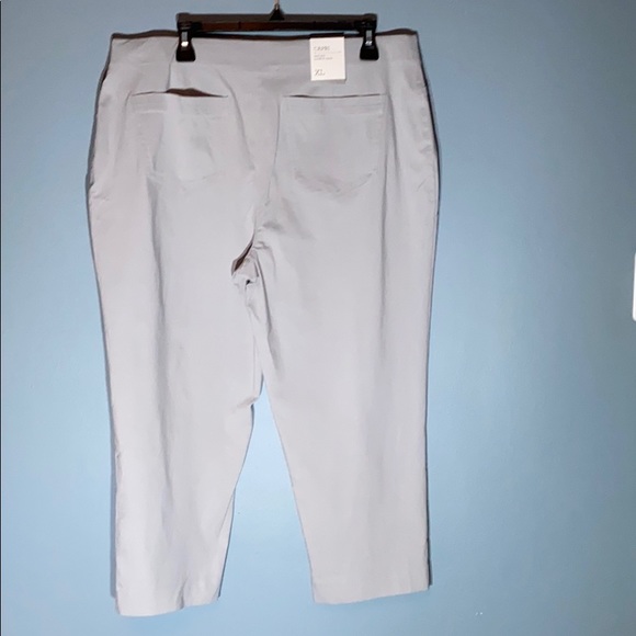 NWT Style & Co Pull-on Capri in Misty Harbor - Picture 3 of 4